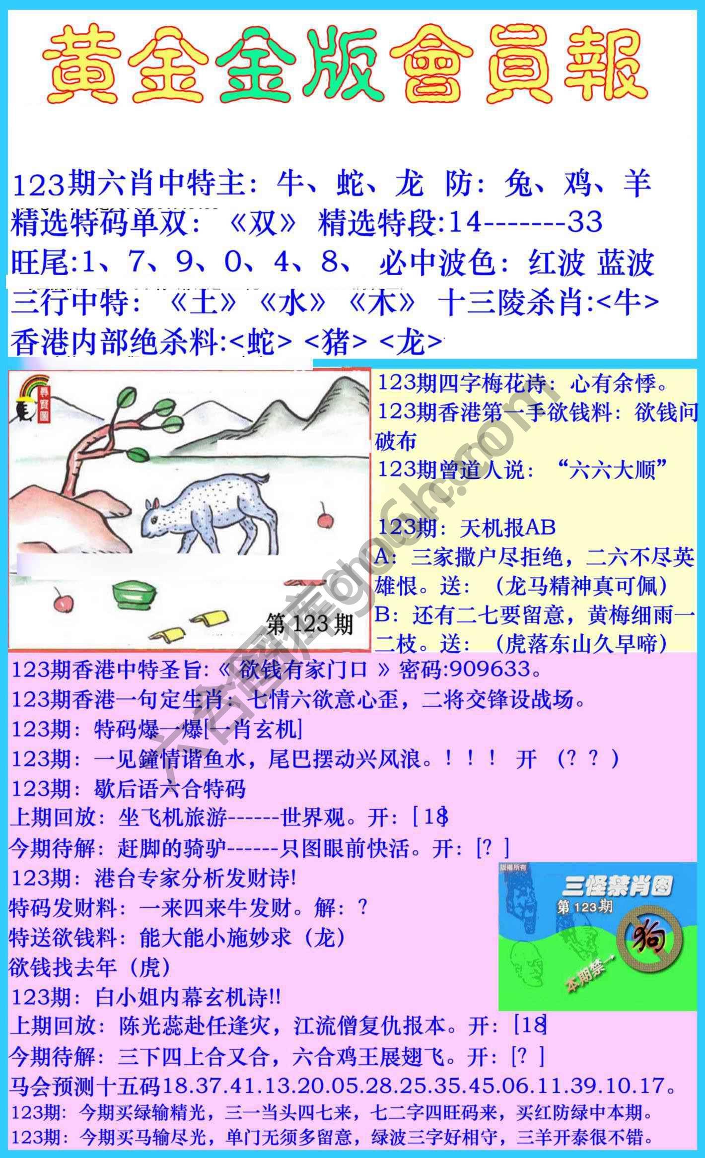 黄金金版会员报