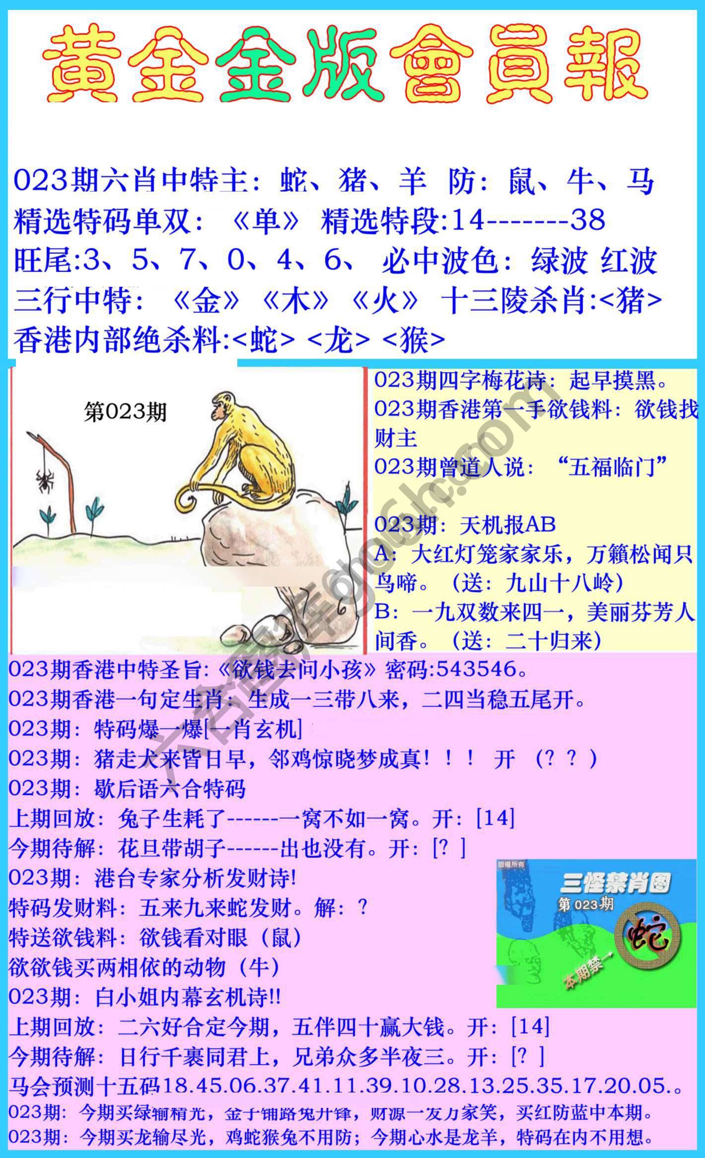 黄金金版会员报