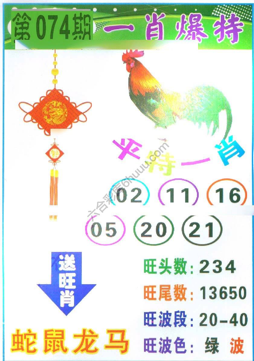 一肖爆特（新版）