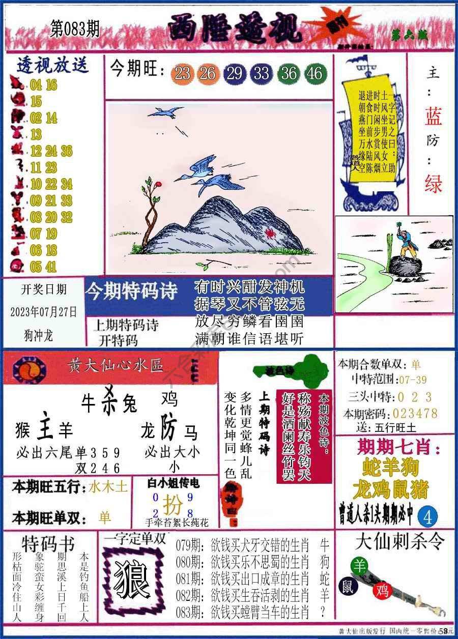 西陲透视（正版）