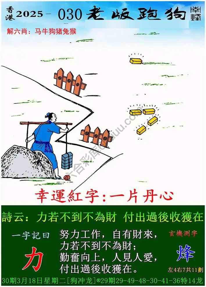 老版跑狗图