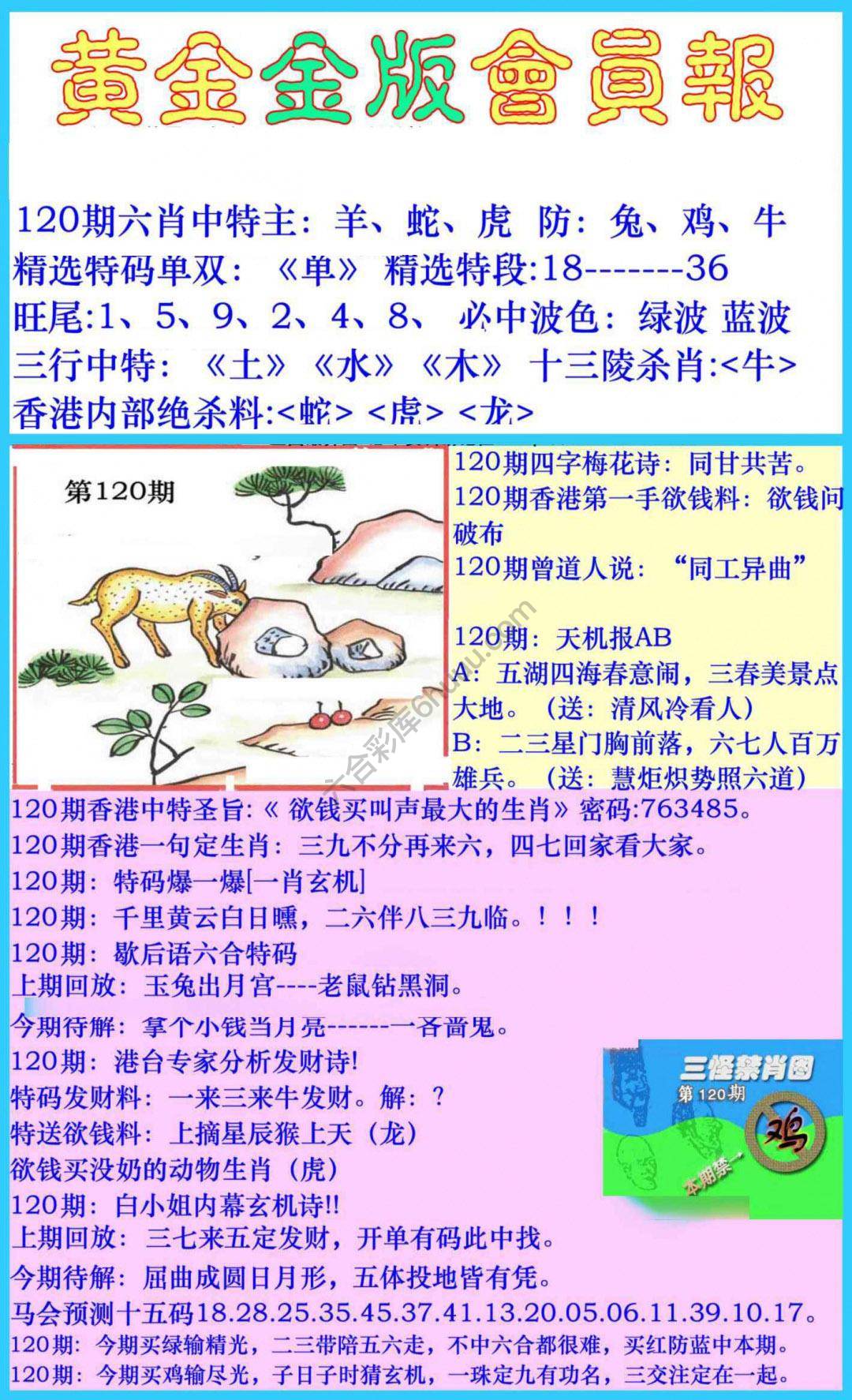 黄金金版会员报