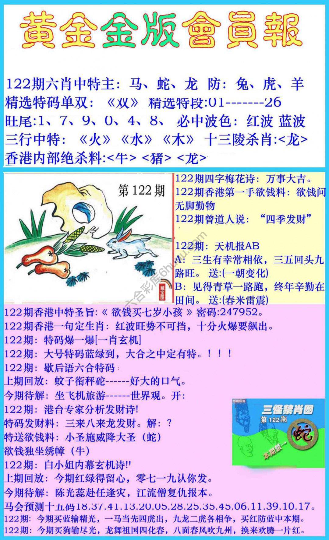 黄金金版会员报