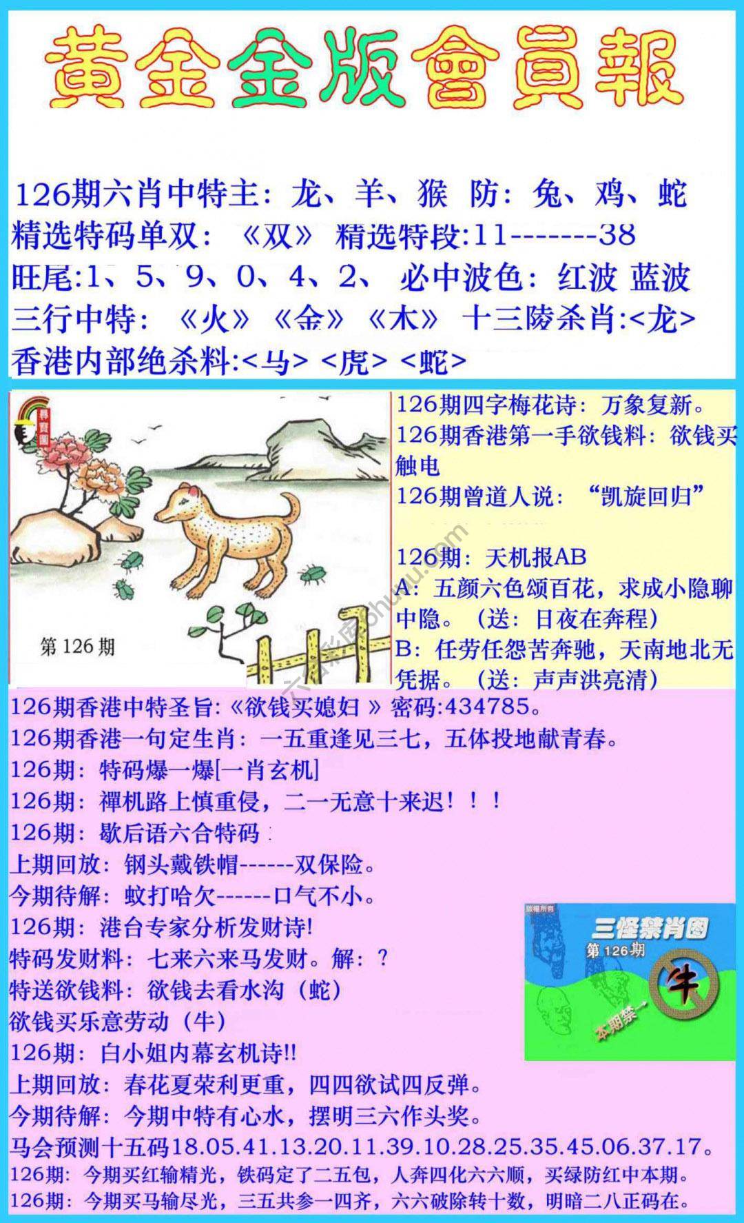 黄金金版会员报