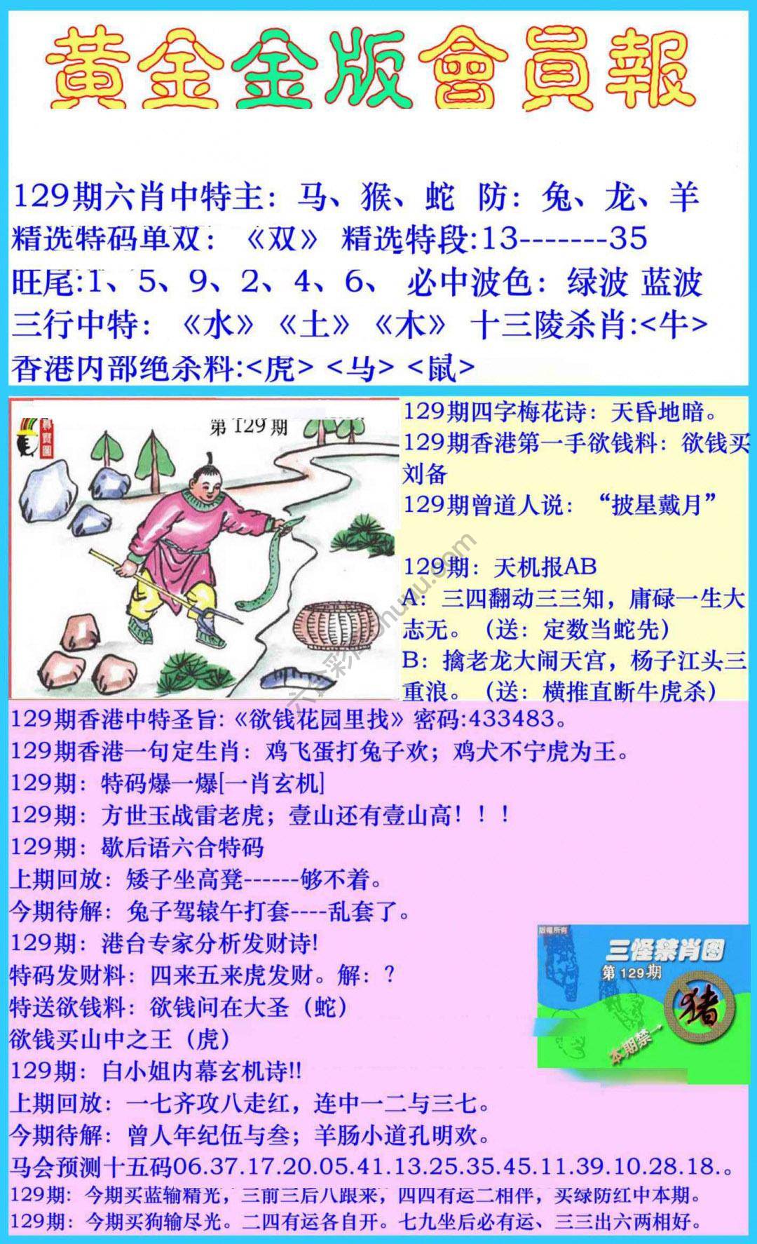 黄金金版会员报