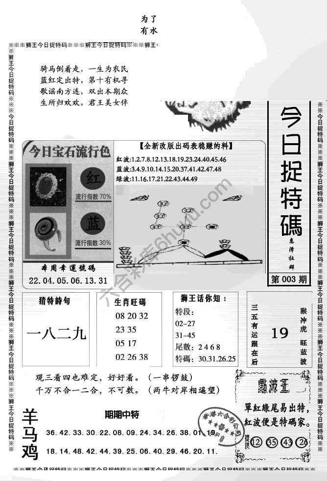 狮王今日抓特码