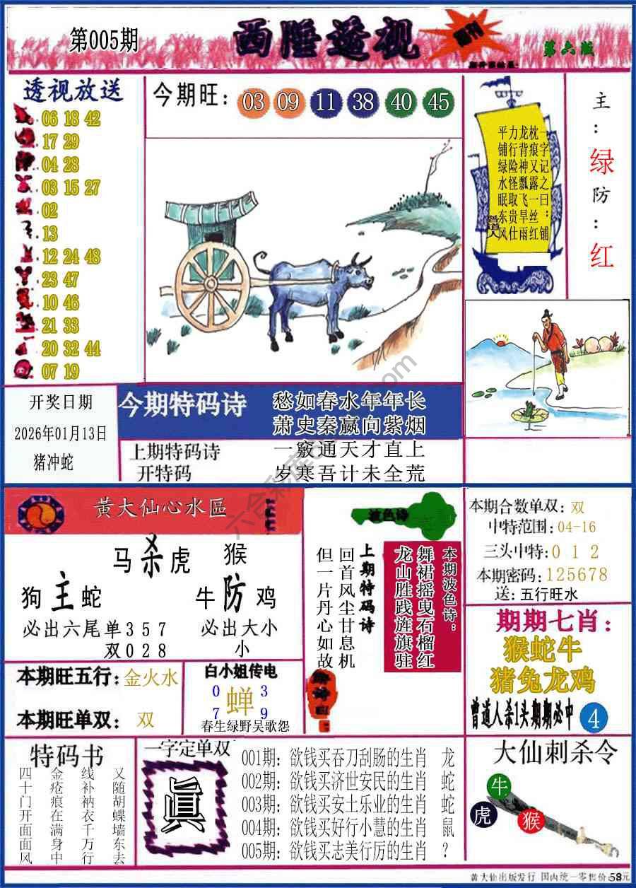 西陲透视（正版）