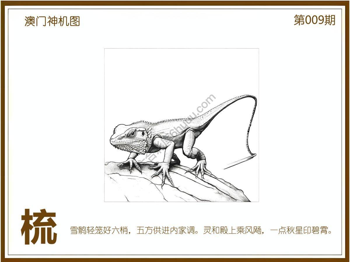 澳门神机图