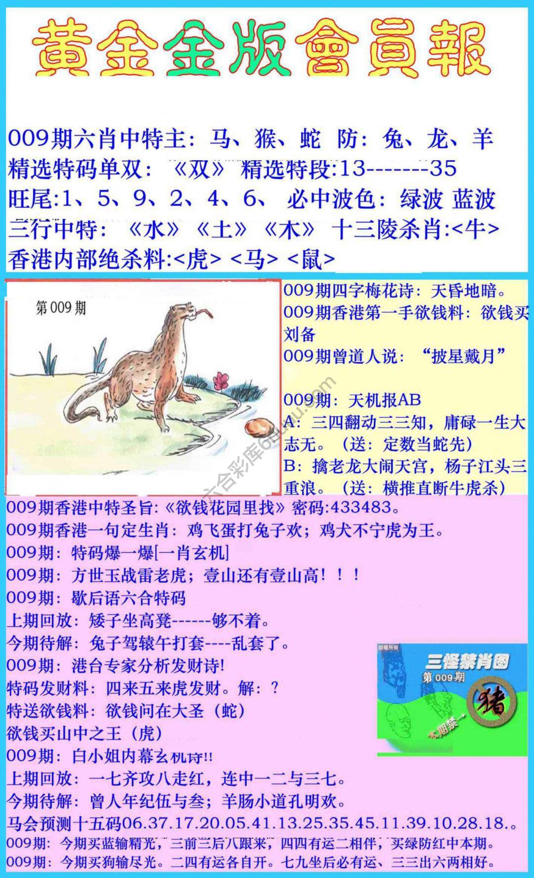 黄金金版会员报