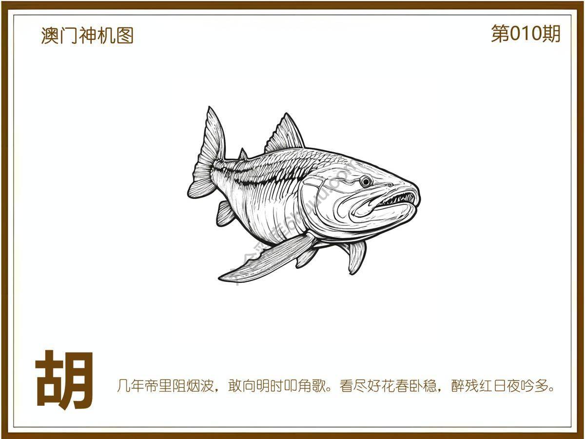 澳门神机图