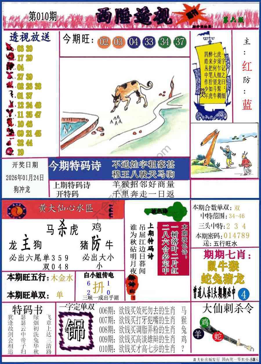 西陲透视（正版）