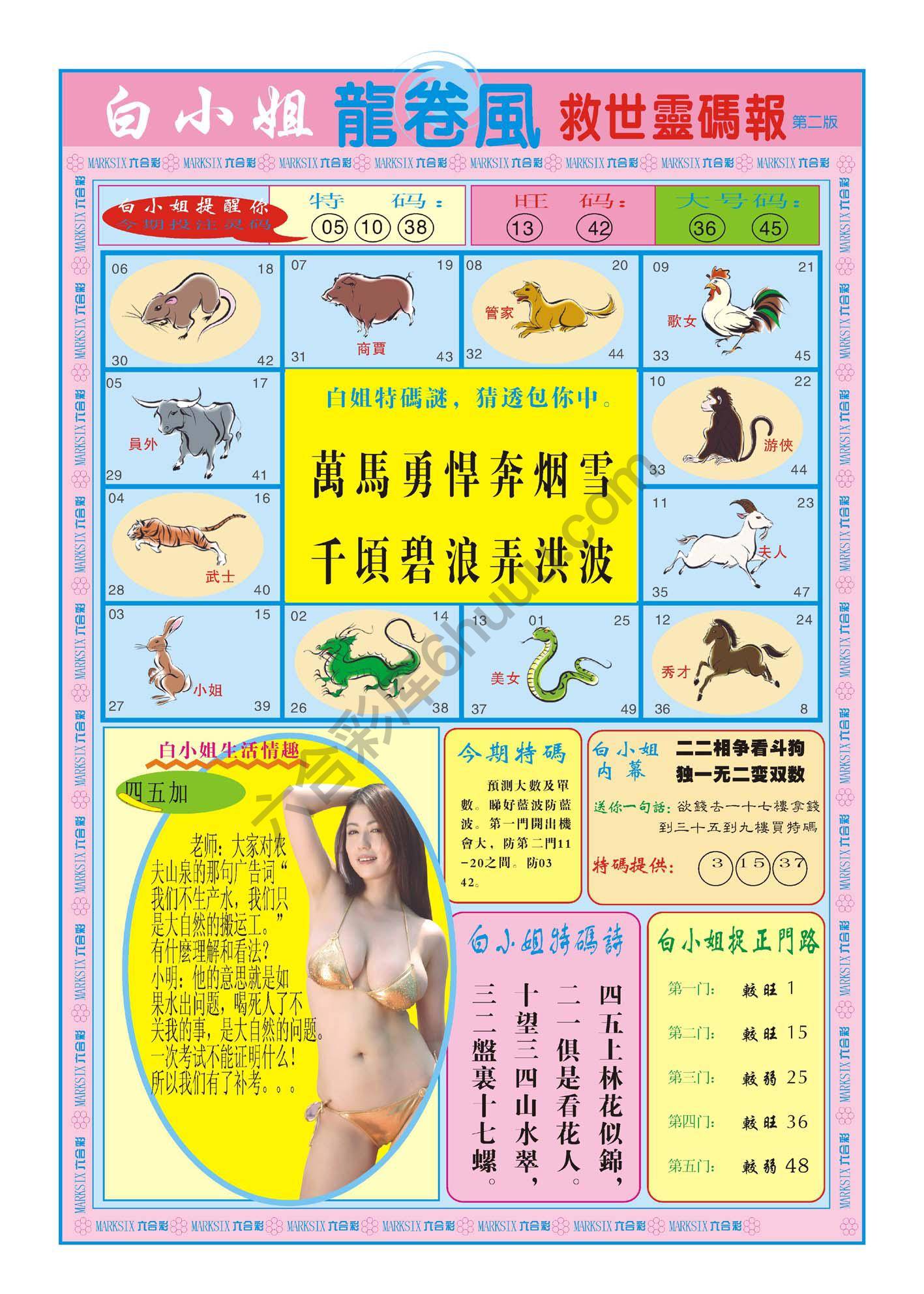 白小姐救世灵码报