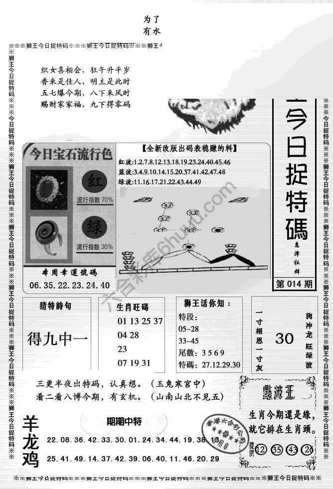 狮王今日抓特码