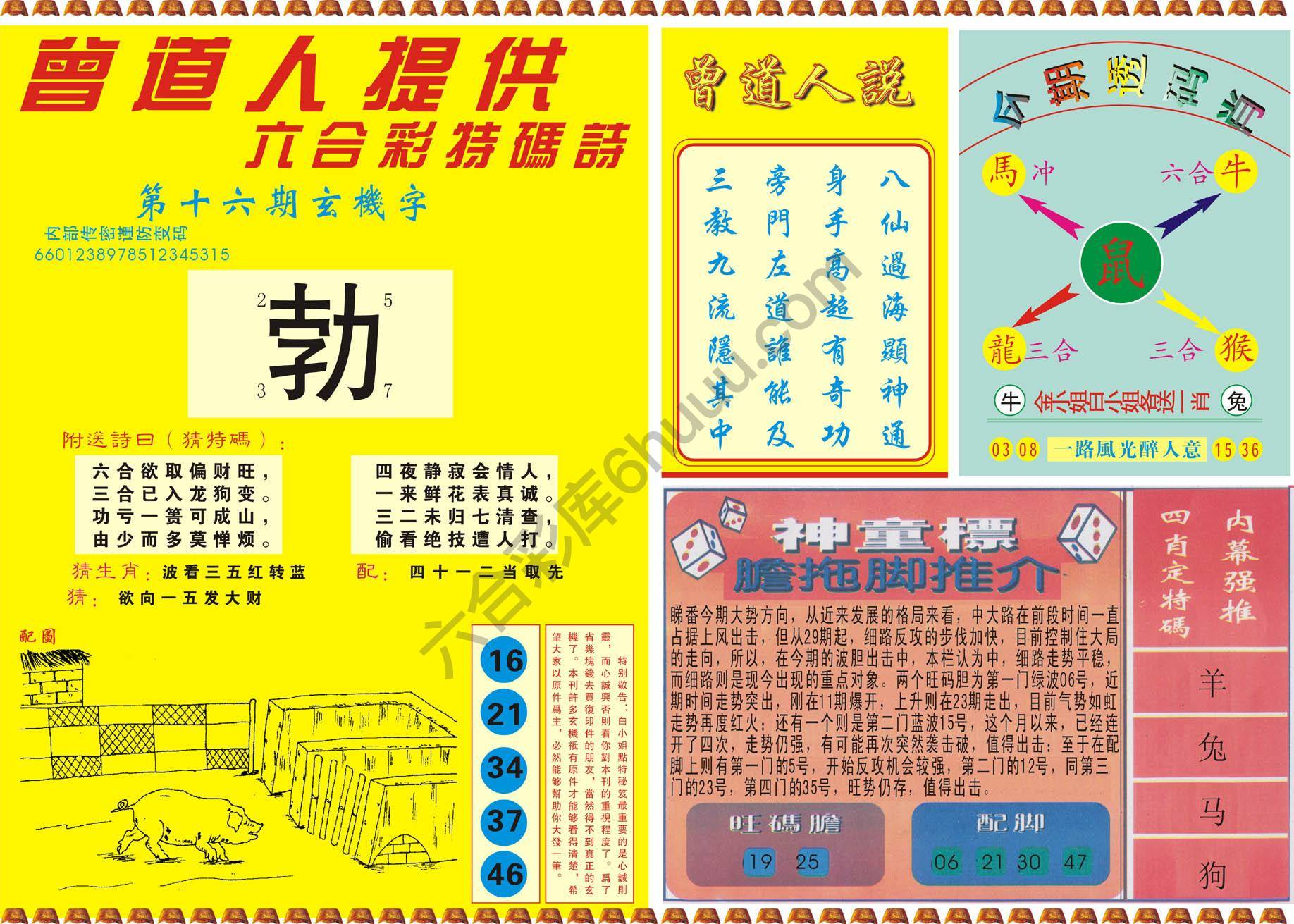 曾道人内幕玄机