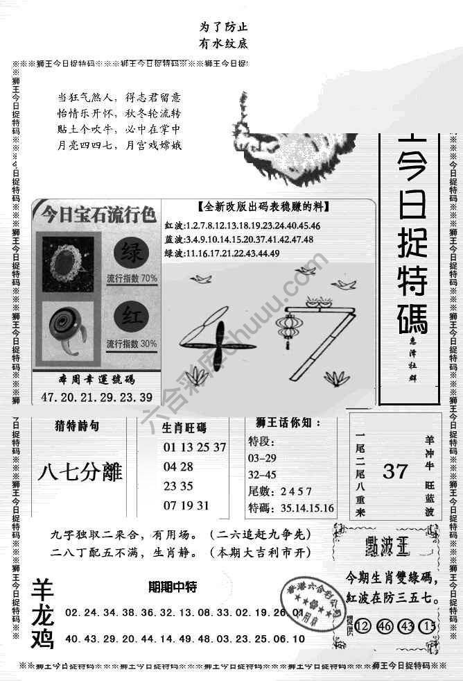 狮王今日抓特码