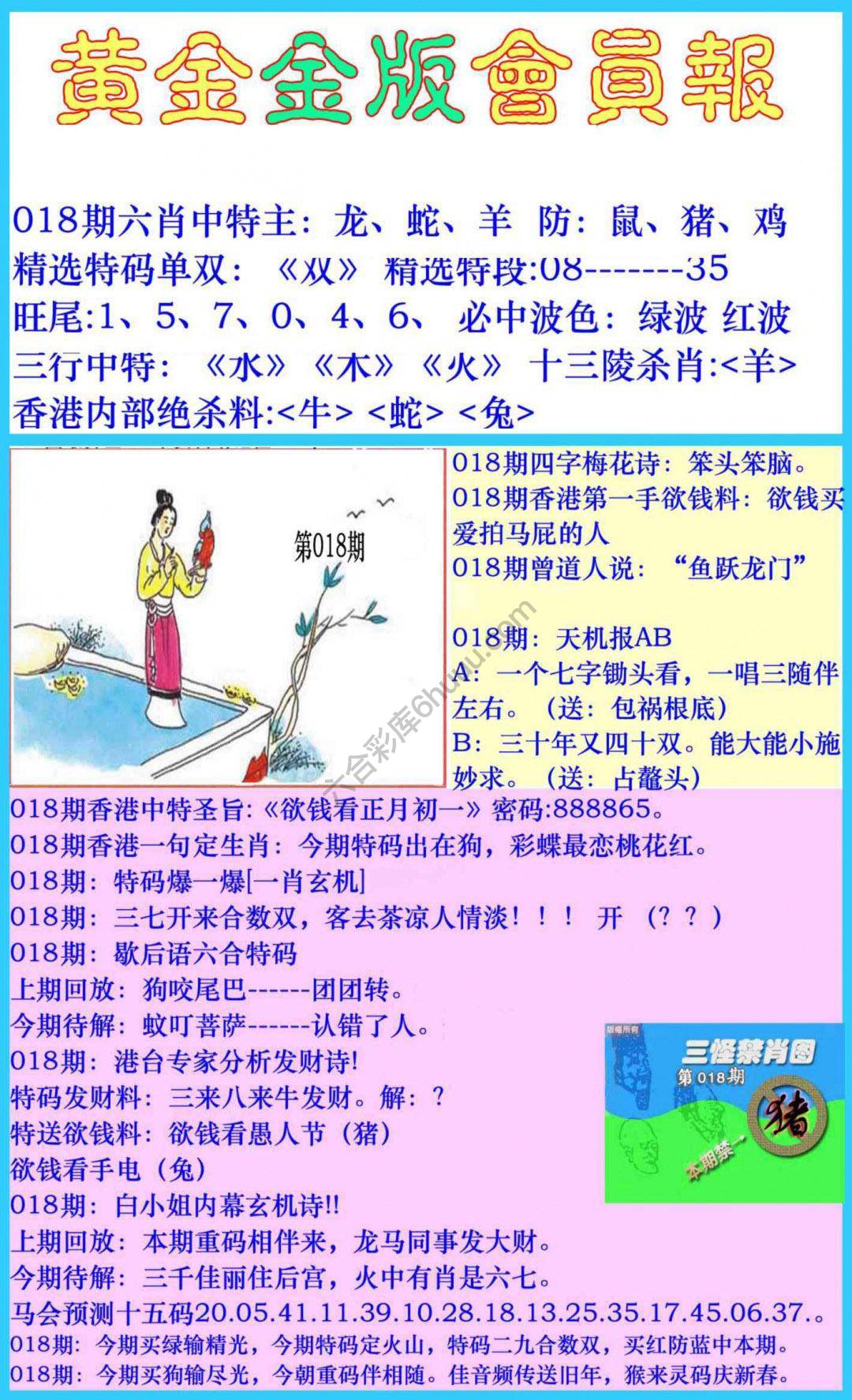 黄金金版会员报