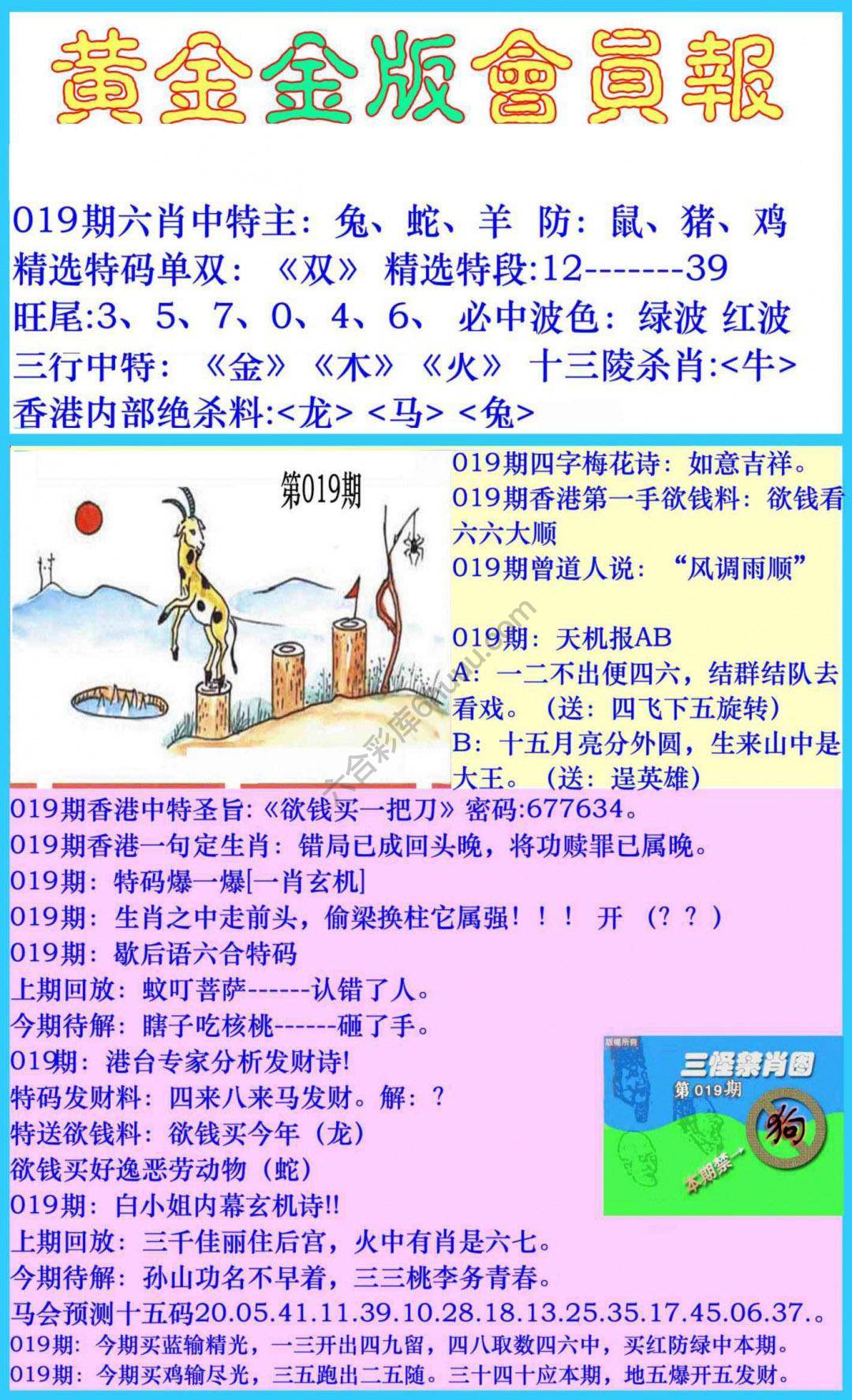 黄金金版会员报