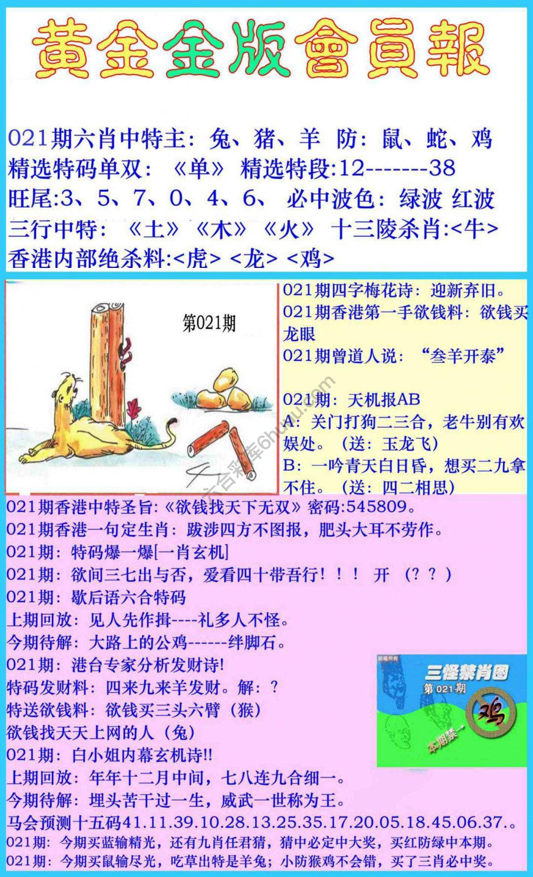 黄金金版会员报