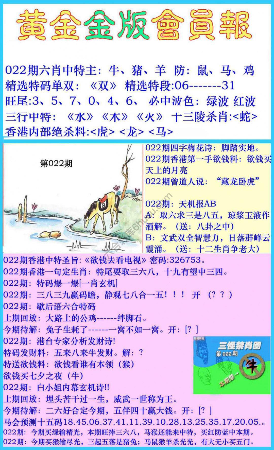 黄金金版会员报