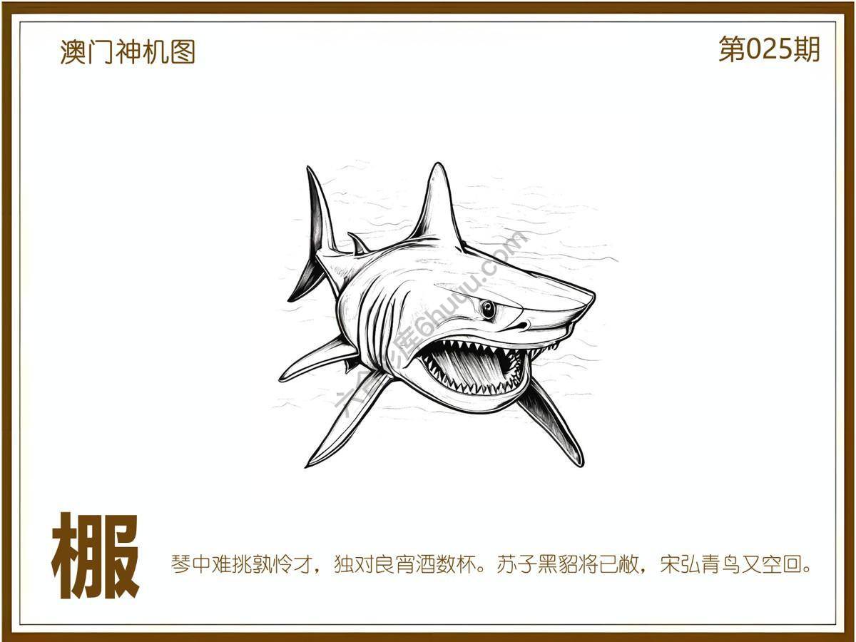 澳门神机图
