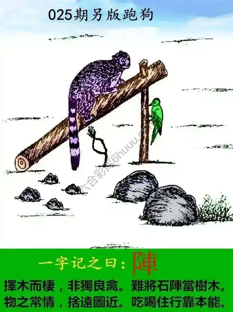 另版跑狗