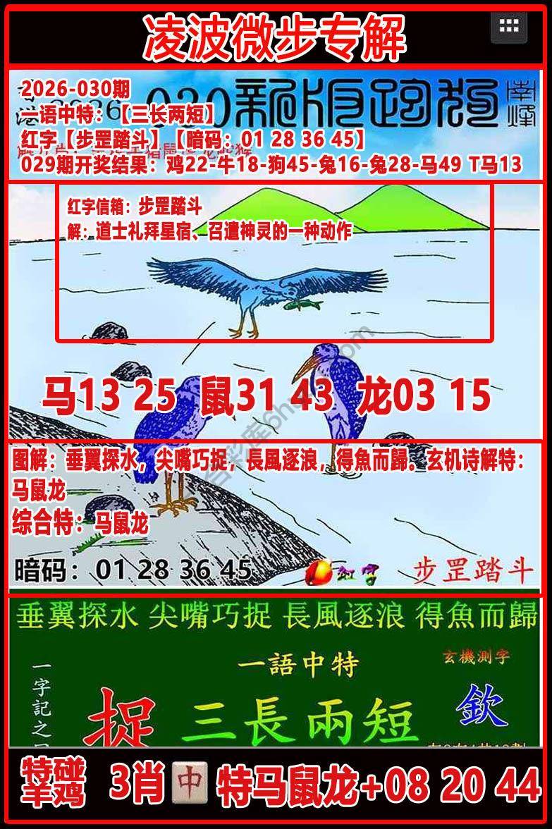 凌波微步解跑狗