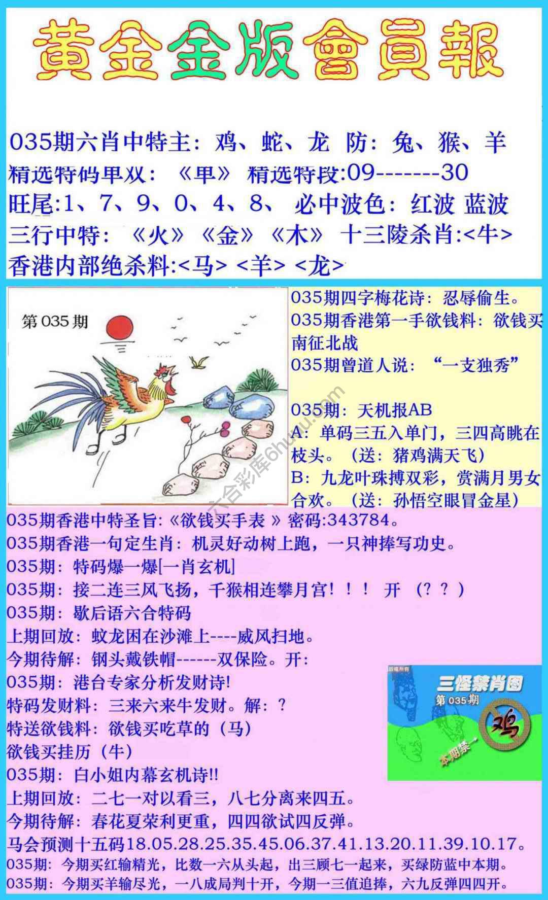 黄金金版会员报