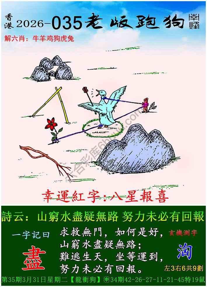 老版跑狗图