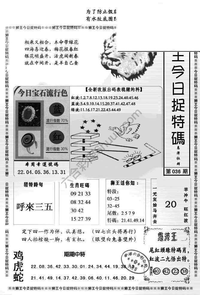 狮王今日抓特码