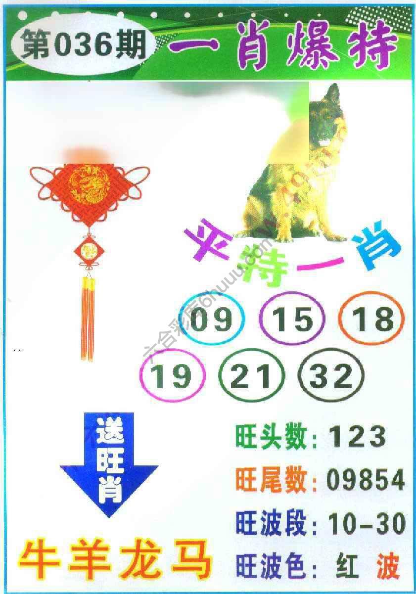 一肖爆特（新版）