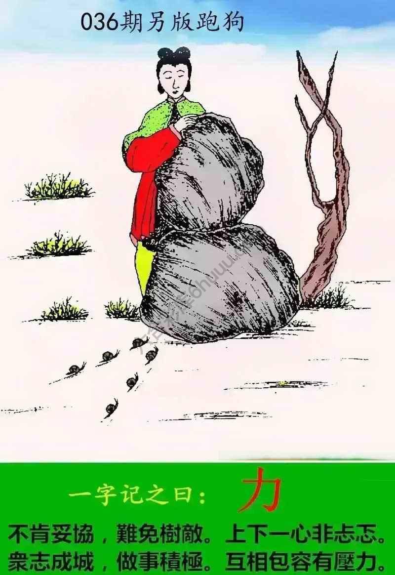 另版跑狗