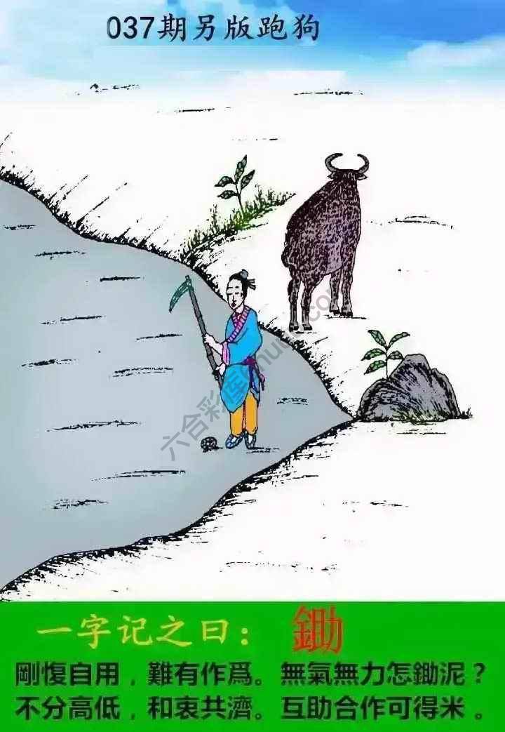 另版跑狗
