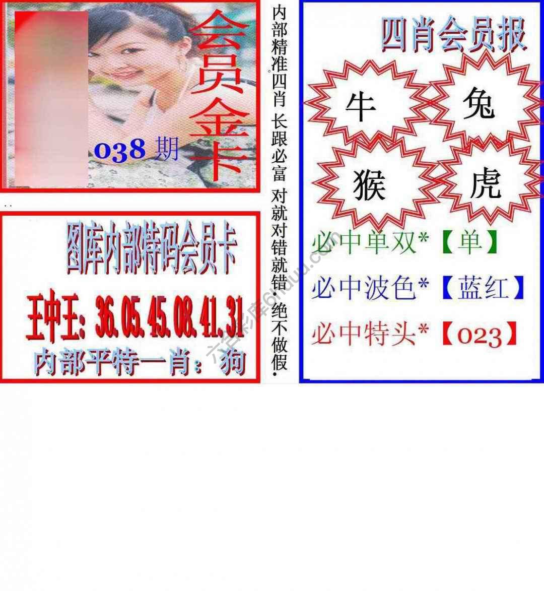 马经四肖会员报