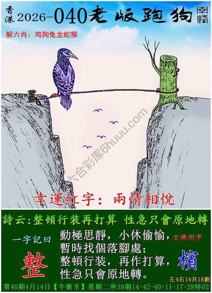 老版跑狗图