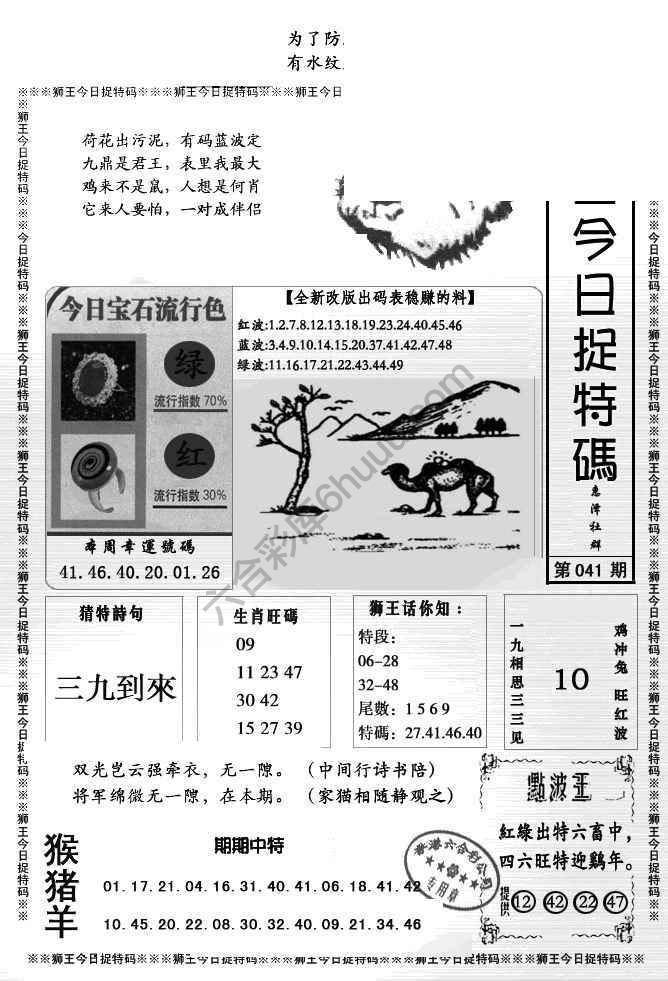 狮王今日抓特码