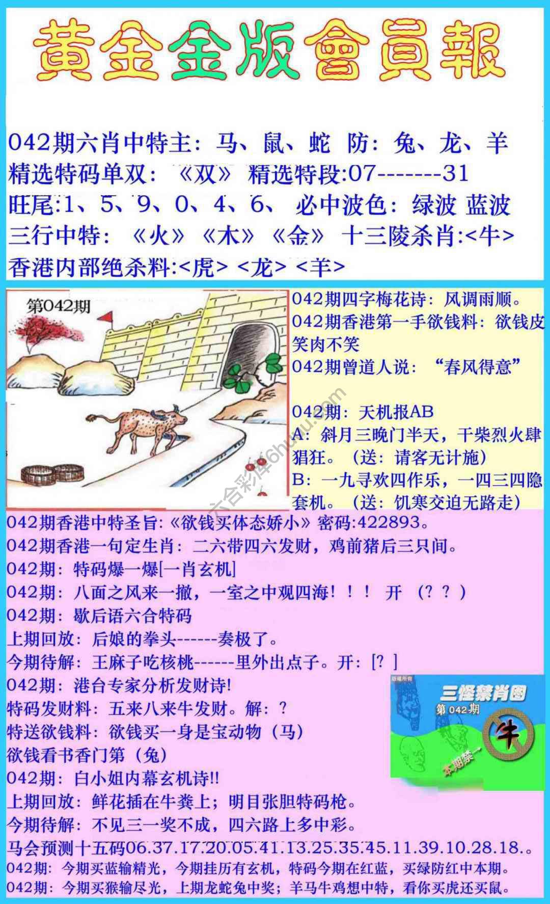 黄金金版会员报