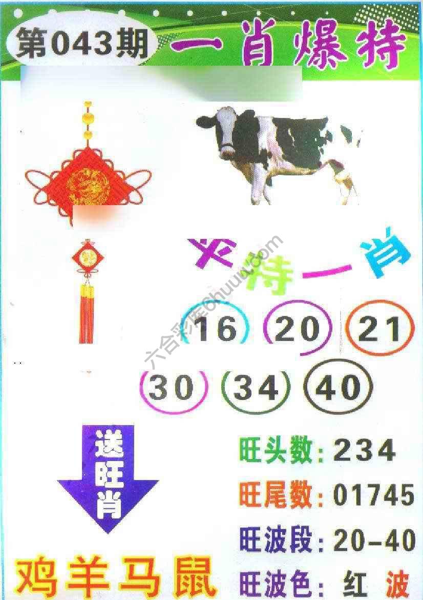 一肖爆特（新版）