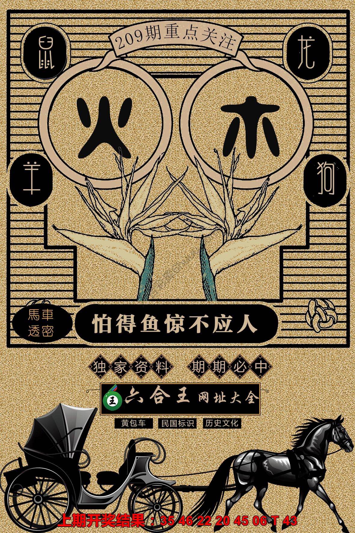 六合王马车透密