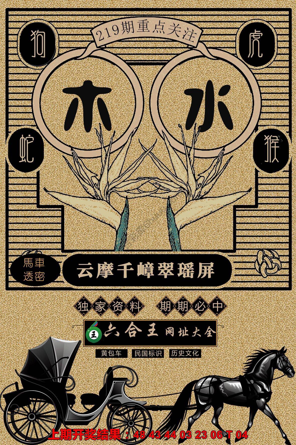 六合王马车透密