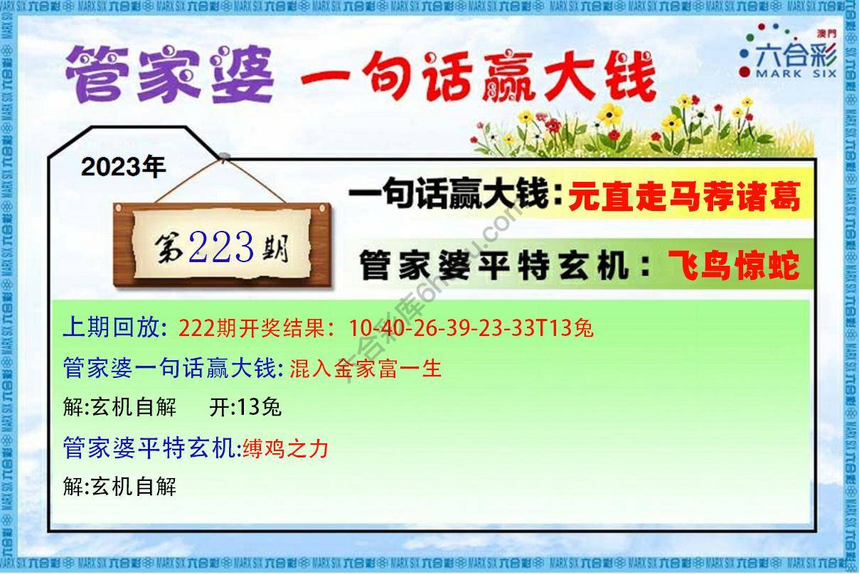 管家婆一句赢大钱