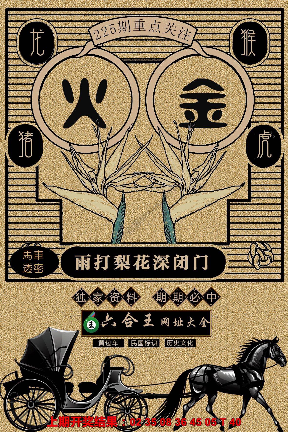 六合王马车透密