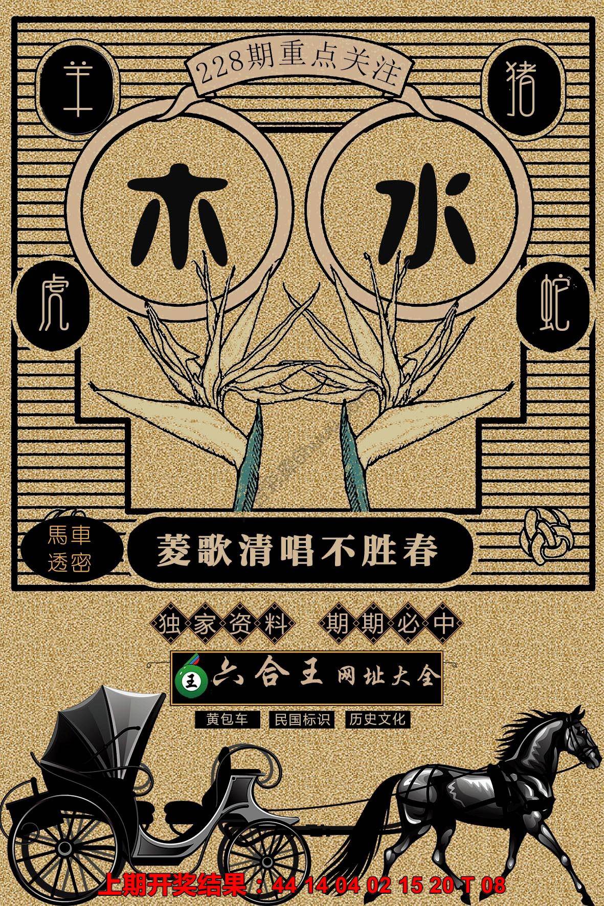 六合王马车透密