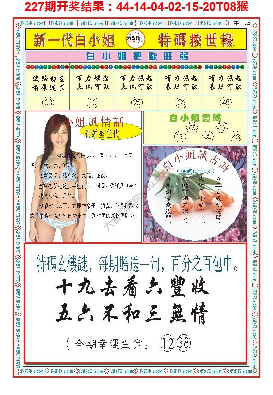 白小姐新一代