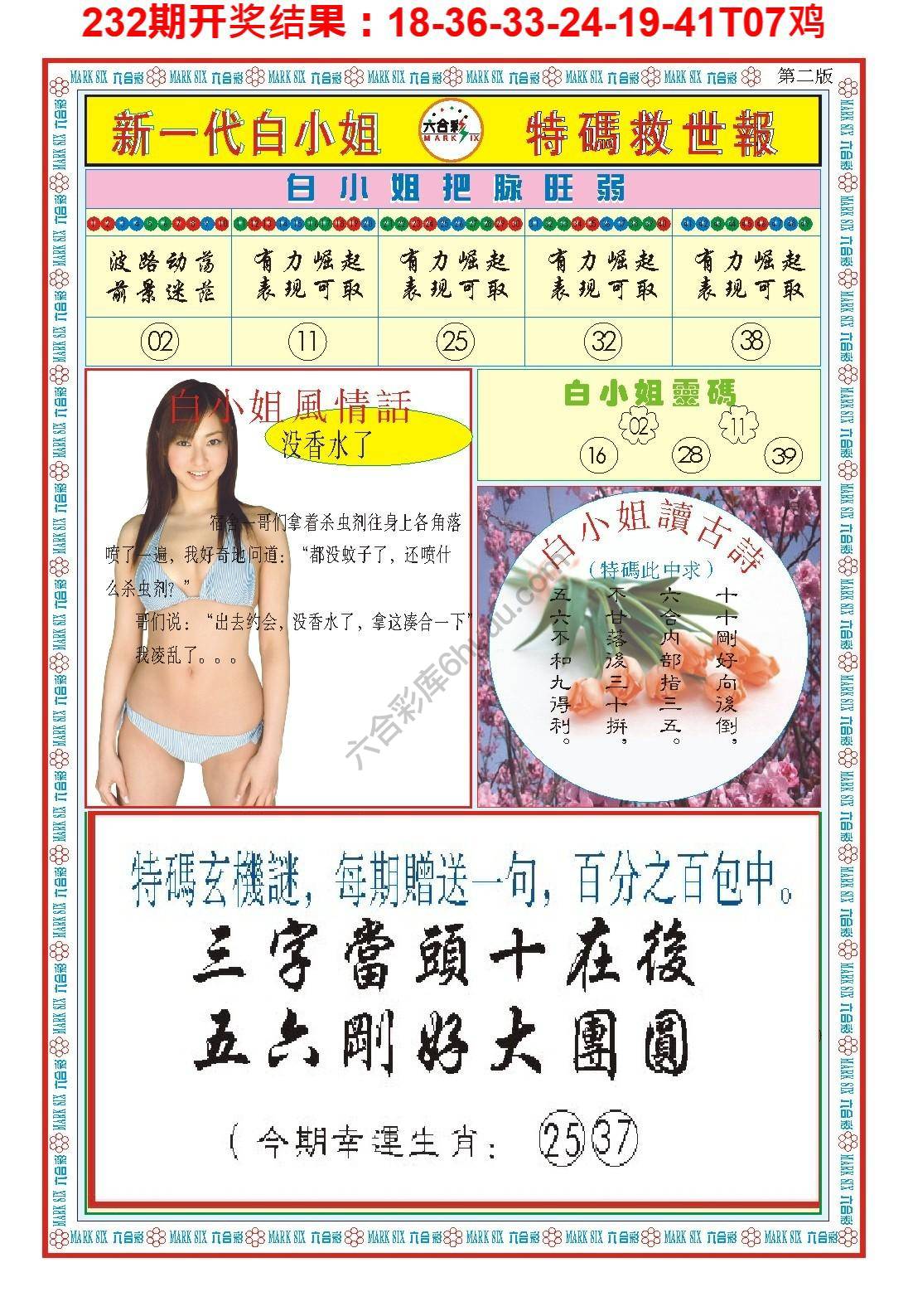 白小姐新一代