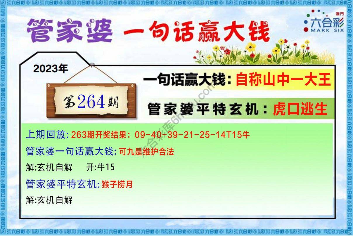 管家婆一句赢大钱