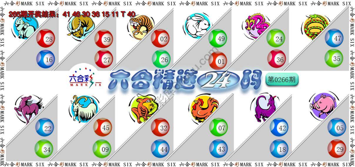 六合精选24码