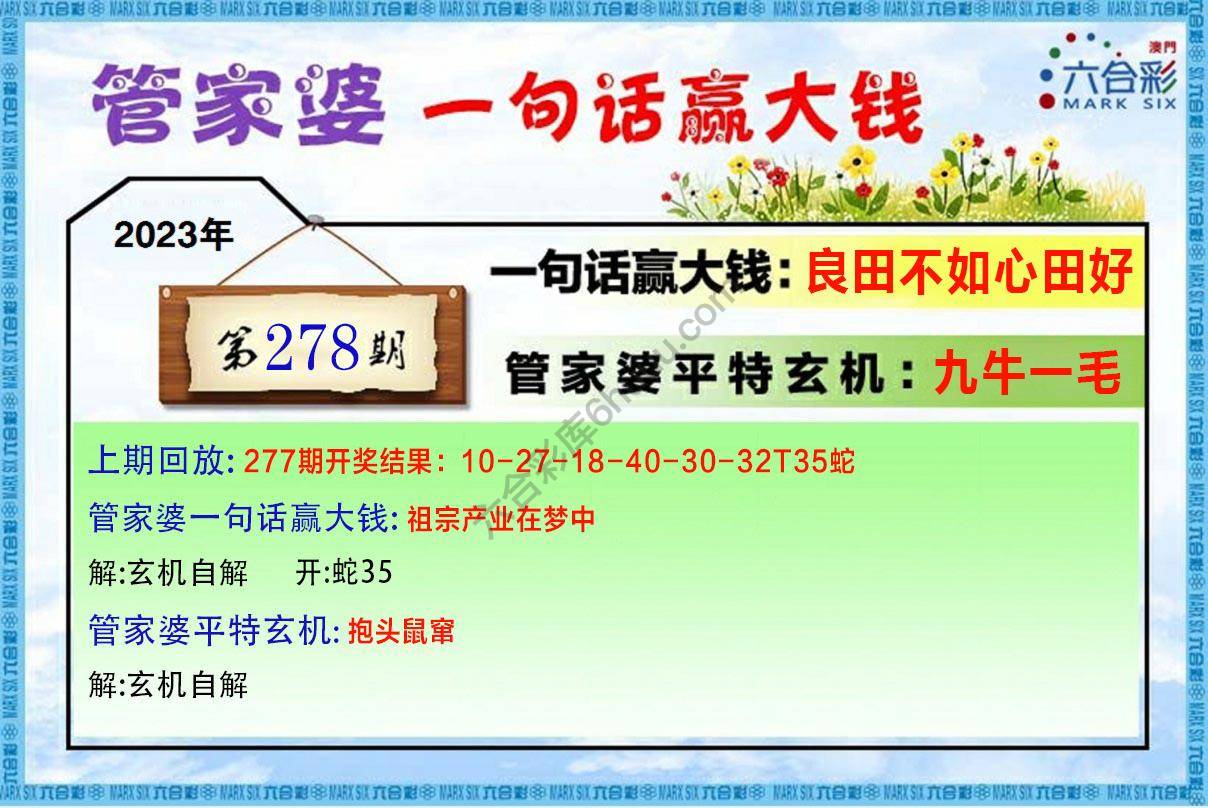 管家婆一句赢大钱