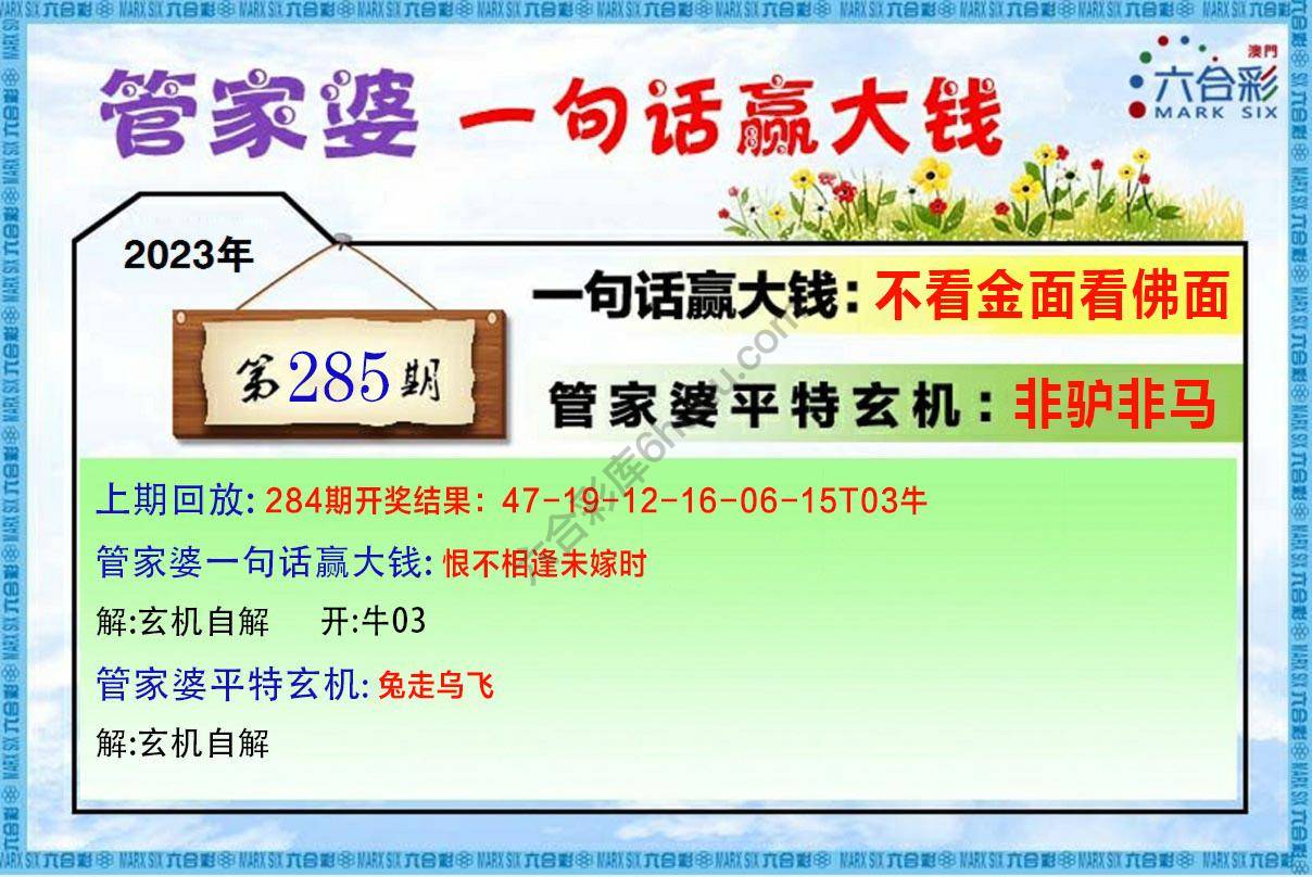 管家婆一句赢大钱