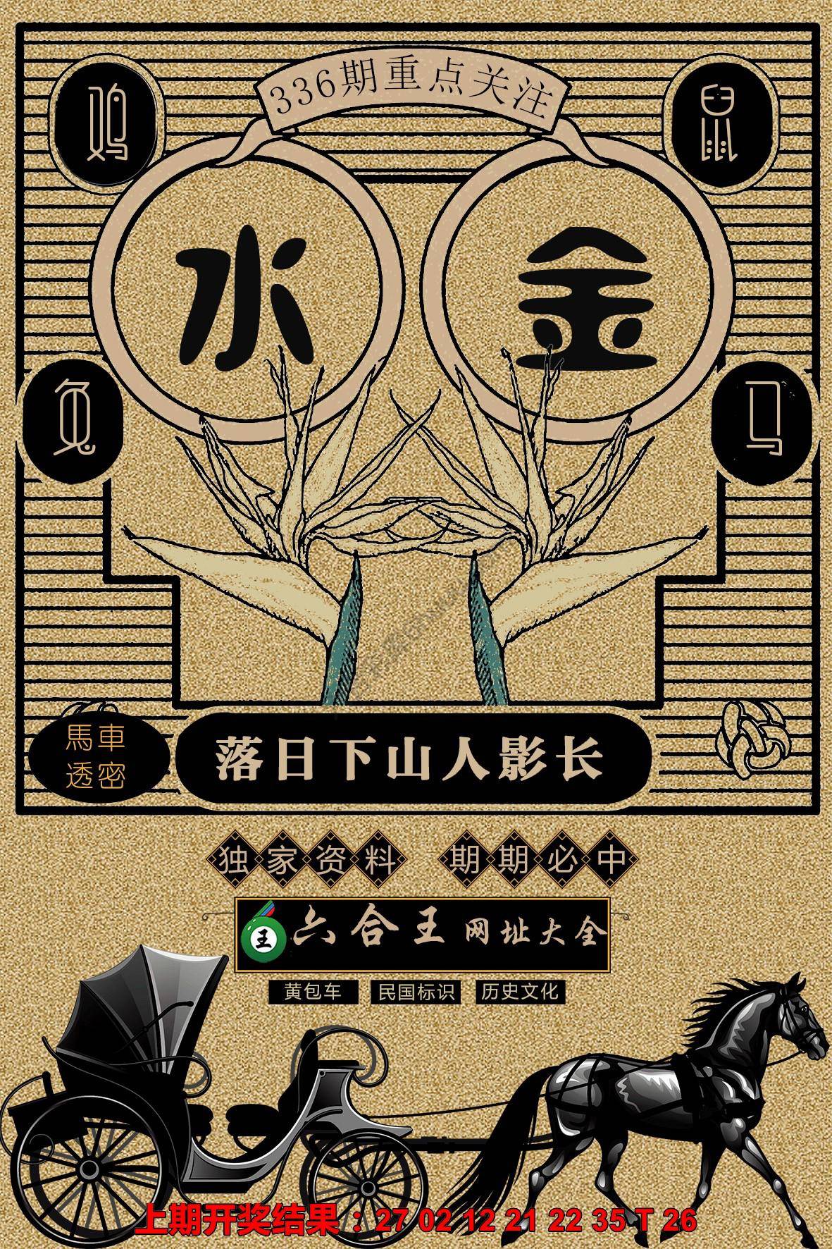 六合王马车透密