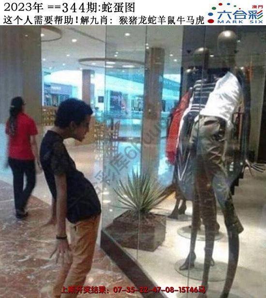 正版蛇蛋图